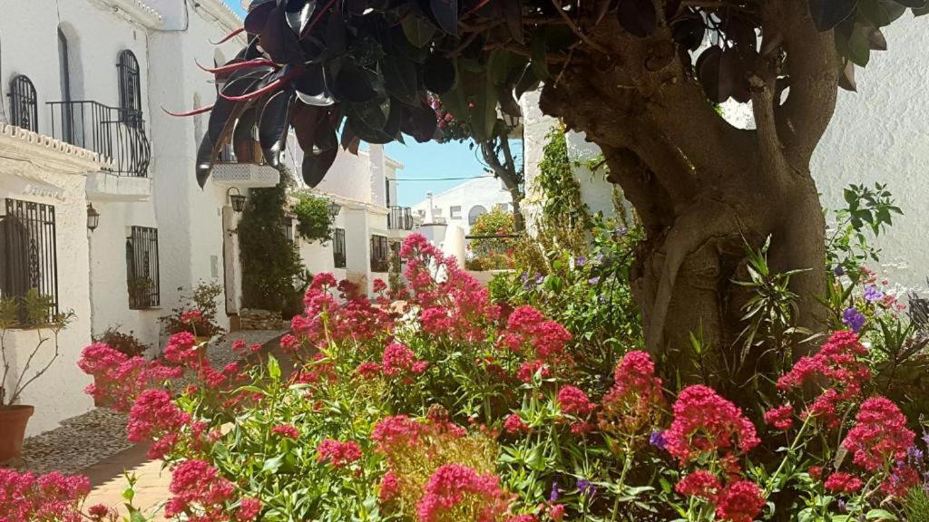 Apartamento Capistrano Village Nerja Eksteriør bilde